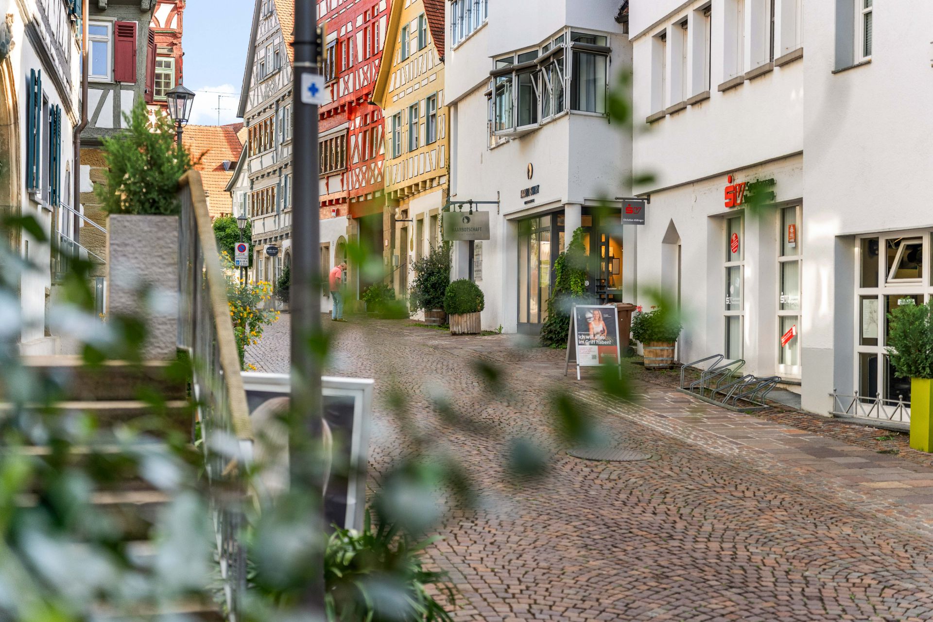 Gepflasterte Altstadtstraße mit bunten Fachwerkhäusern und einige Pflanzen im Vordergrund.