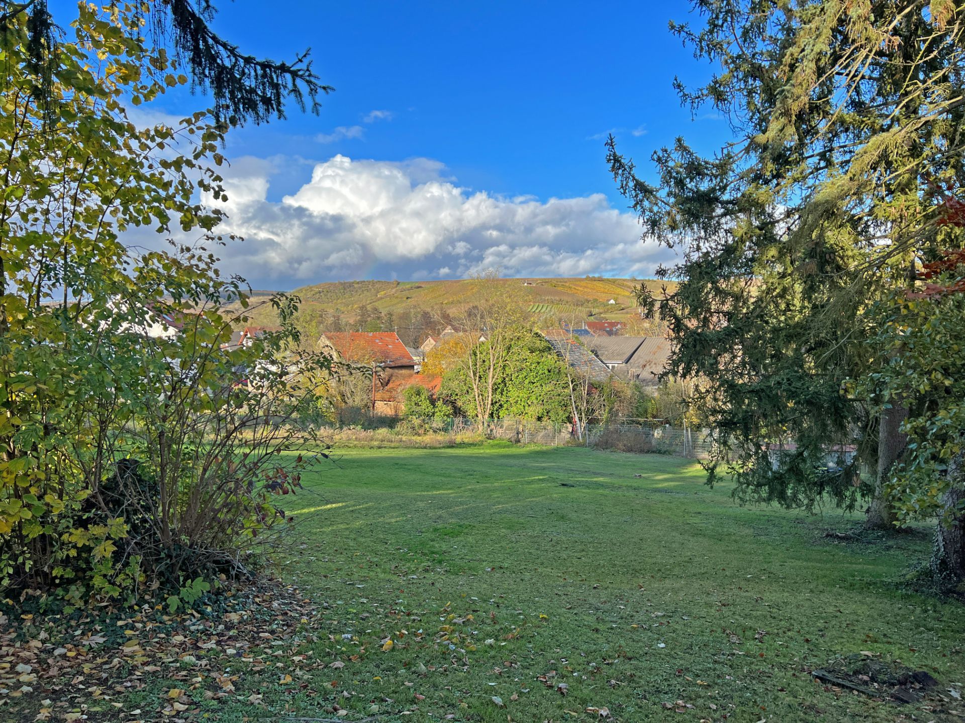 Grüner Garten mit Bäumen und Blick auf Häuser im Hintergrund bei blauem Himmel.