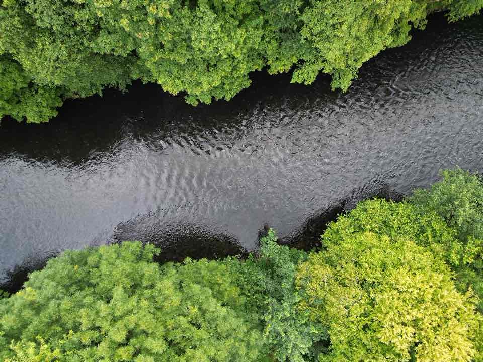 Fluss mit grünen Bäumen an beiden Ufern, aus der Vogelperspektive aufgenommen.