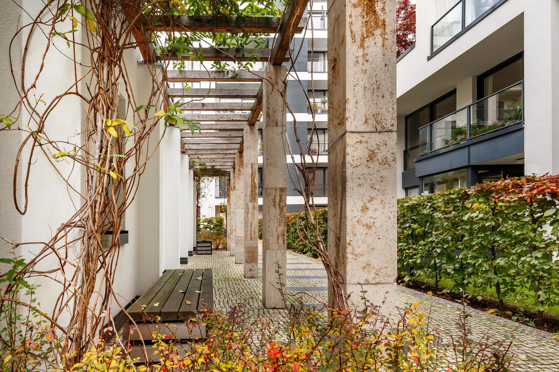 Gepflasterter Weg mit Pergola, Holzbänken und Kletterpflanzen zwischen Wohngebäuden.