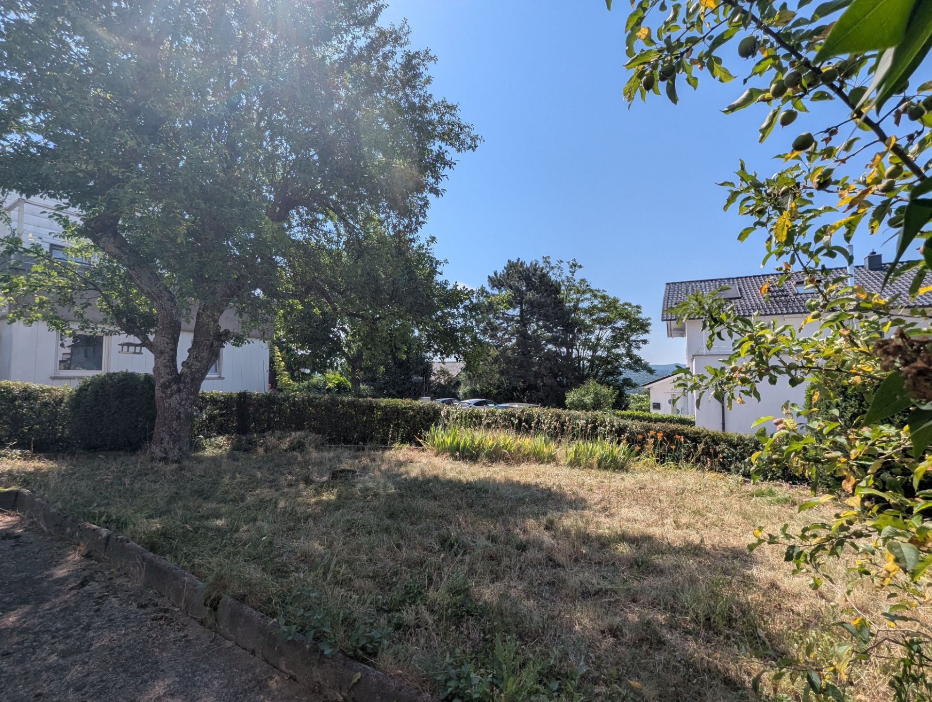 Garten mit Rasen, Bäumen und Hecke, umgeben von Wohnhäusern an einem sonnigen Tag.