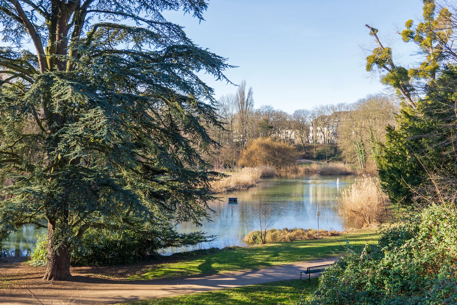 Mehrstöckige Wohngebäude mit Balkonen, umgeben von Bäumen.