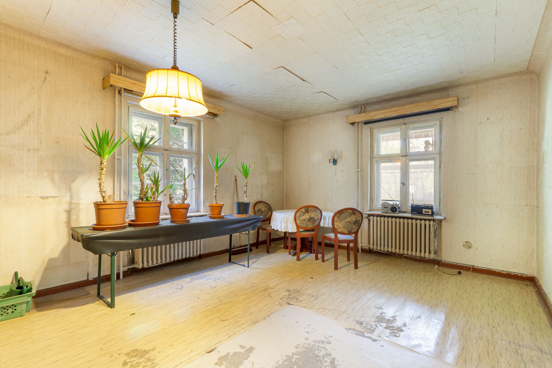 Heller Raum mit drei Fenstern, Tisch mit Zimmerpflanzen und drei Stühlen an kleinem Tisch.