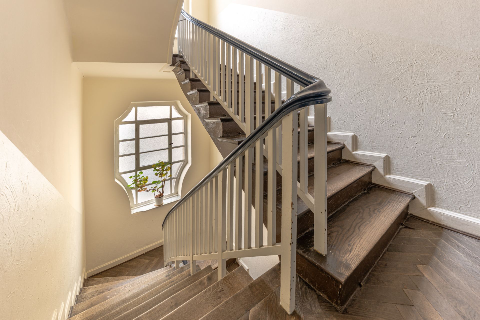Treppenhaus mit Holzstufen, weißem Geländer und Fenster mit zwei Topfpflanzen.