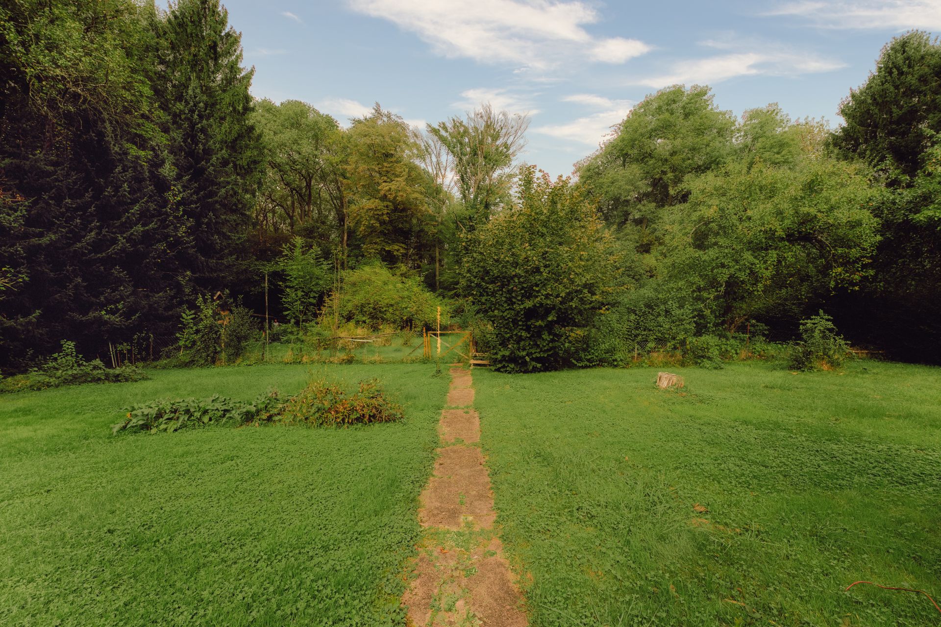 Garten mit Rasenfläche, einem schmalen Weg und vielen Bäumen im Hintergrund.