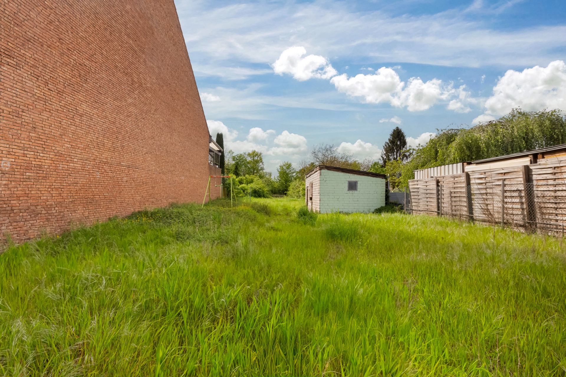 Grüner Garten mit hohem Gras, Schuppen und einer Backsteinwand an der Seite.