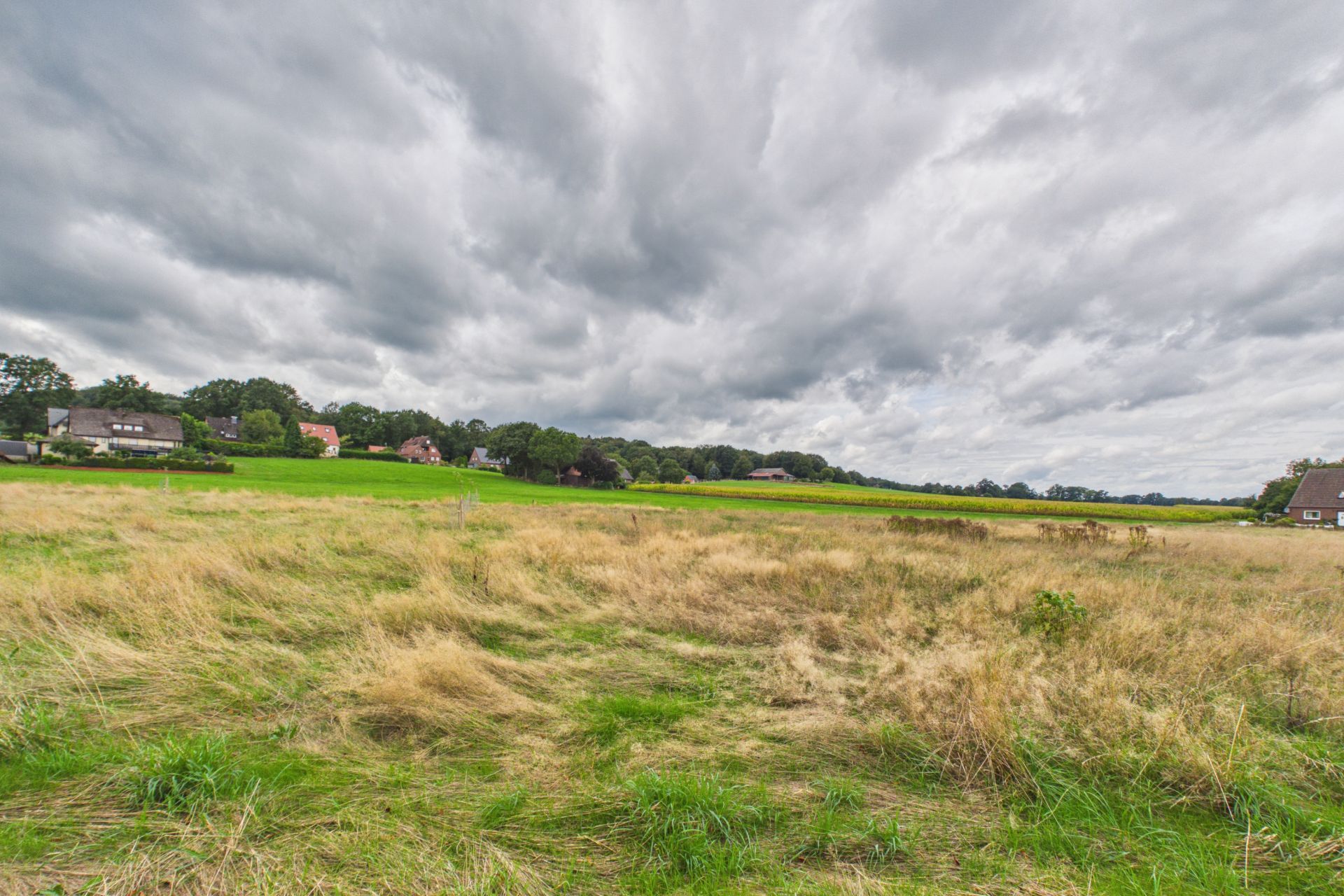 Eine große Wiese mit Häusern im Hintergrund unter bewölktem Himmel.
