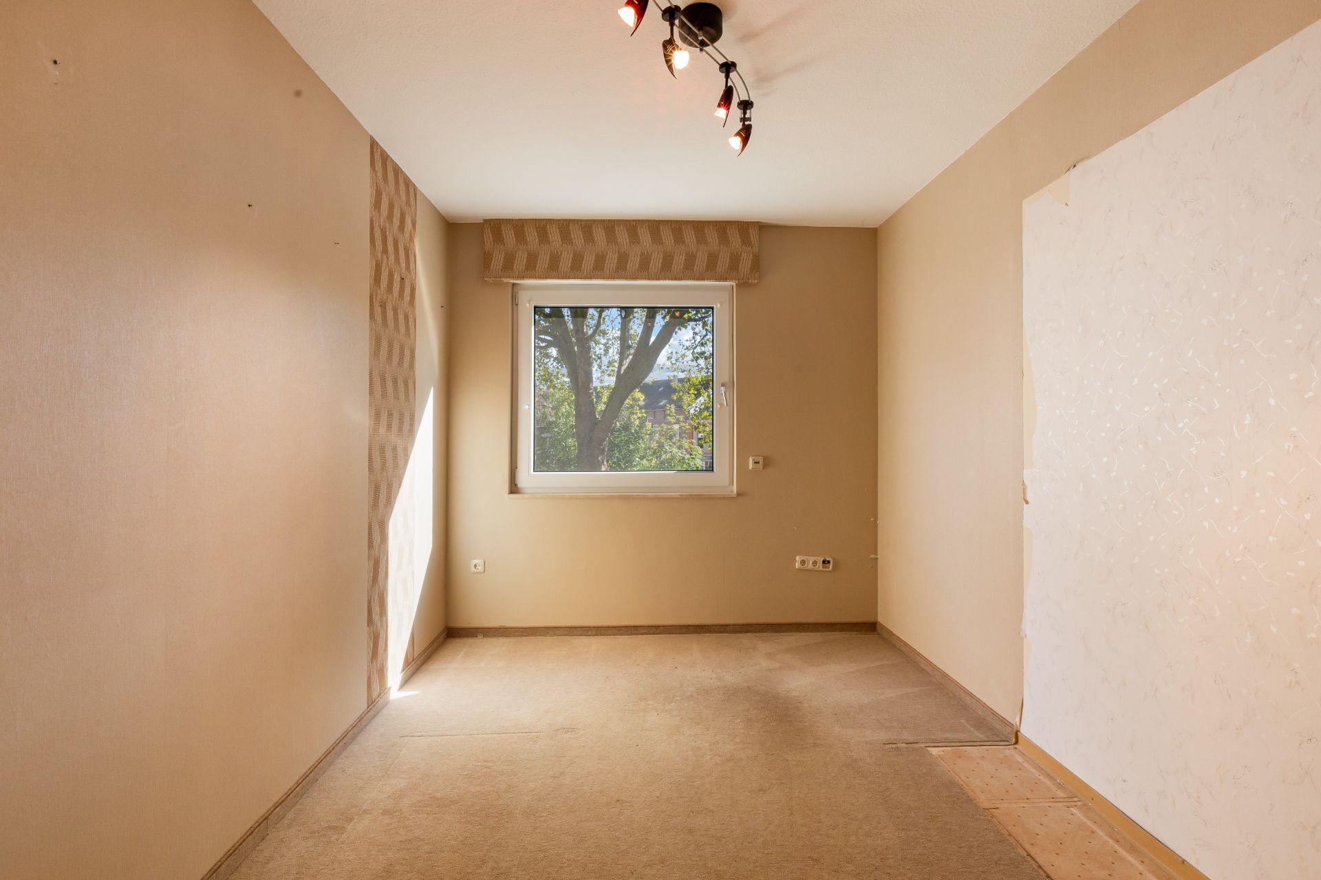Leeres Zimmer mit beigem Teppich, Fenster in der Mitte und Deckenlampe.