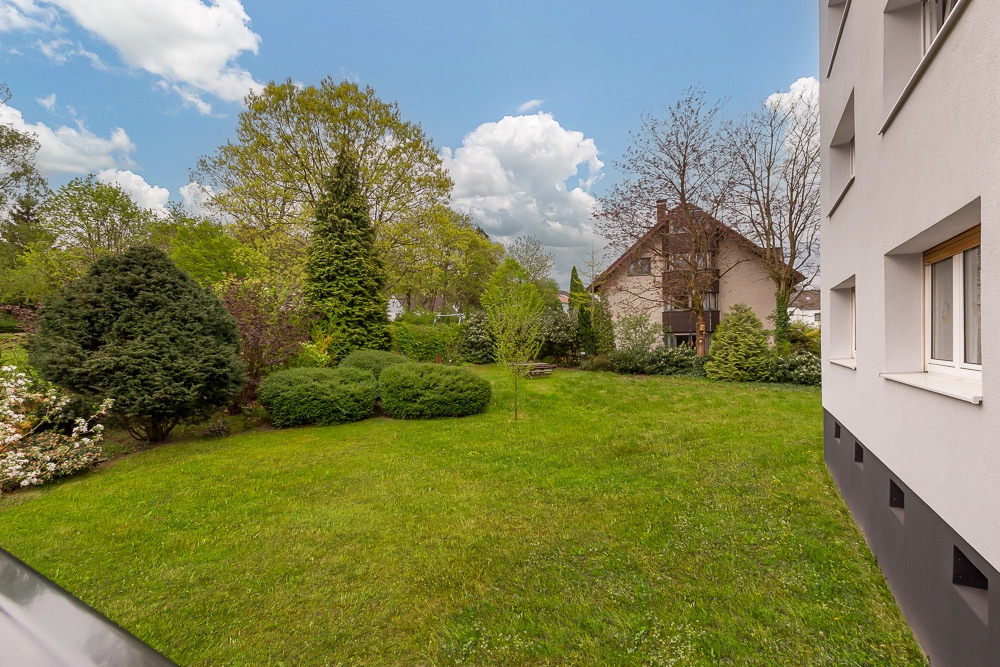 Grüner Garten mit Büschen und Bäumen neben einem Wohnhaus bei Tageslicht.