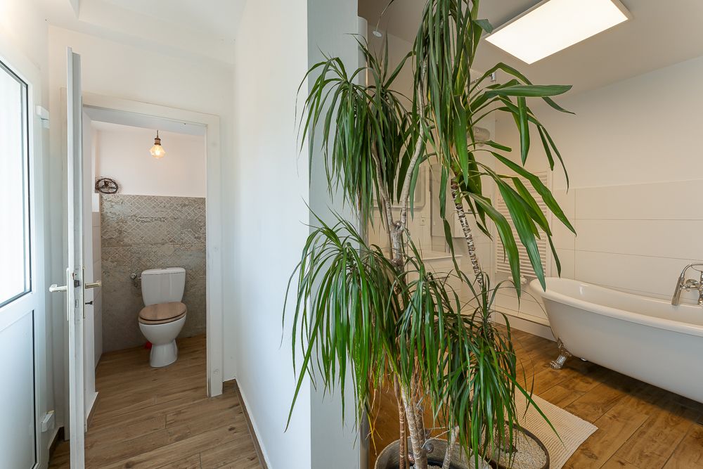 Badezimmer mit freistehender Badewanne, großer Pflanze und Blick auf separates WC.