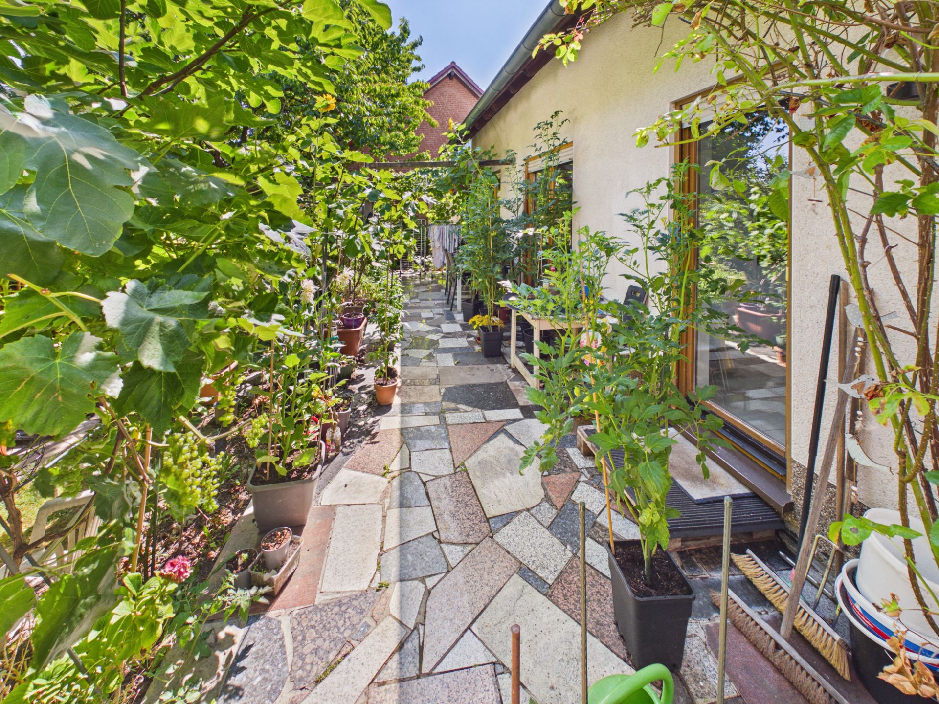 Gepflasterter Gartenweg mit vielen Topfpflanzen neben einem Haus mit Fenstern.