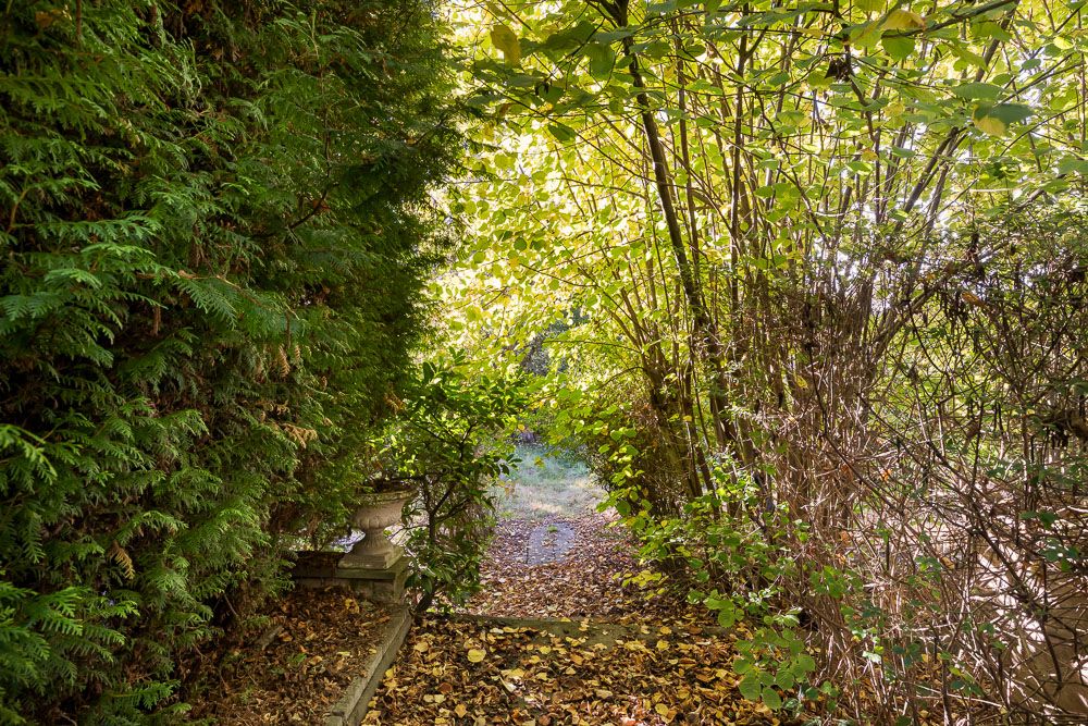 Gartenweg mit Stufen, umgeben von dichtem grünen und gelben Laub.