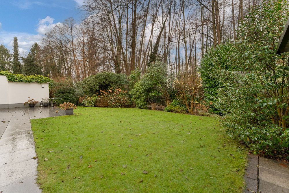 Grüner Garten mit Rasenfläche, Terrasse und vielen Büschen am Rand, Bäume im Hintergrund.