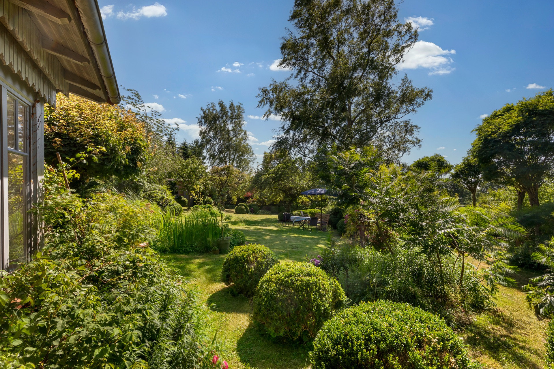Grüner Garten mit Büschen, Bäumen und einer Terrasse mit Gartenmöbeln im Sonnenlicht.