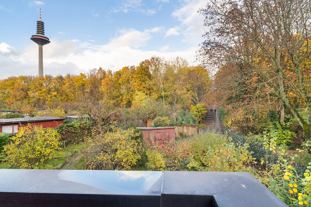 Blick von einem Balkon auf herbstliche Bäume, Kleingärten und einen Fernsehturm.