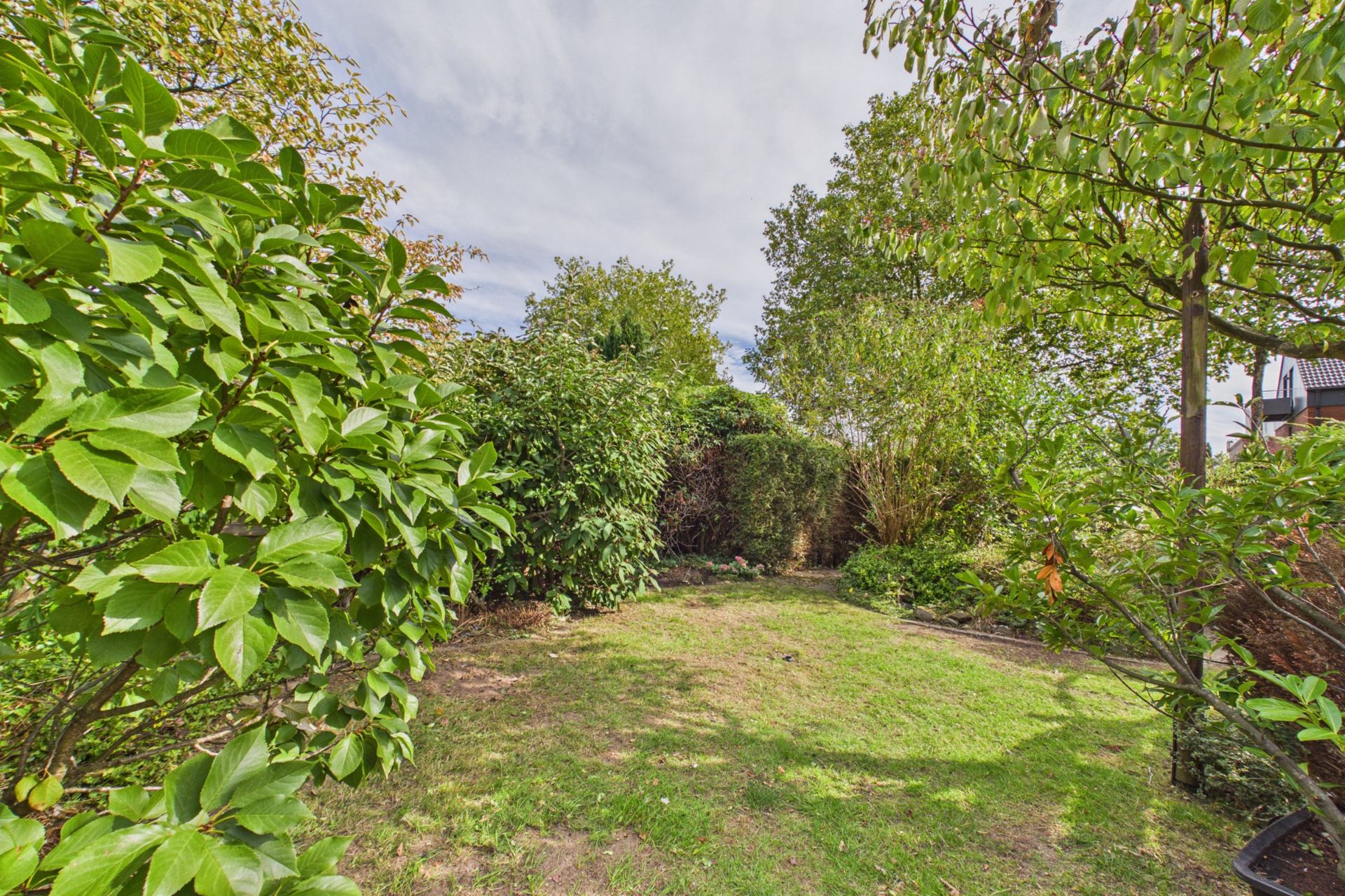 Grüner Garten mit Rasenfläche, umgeben von Büschen und Bäumen.