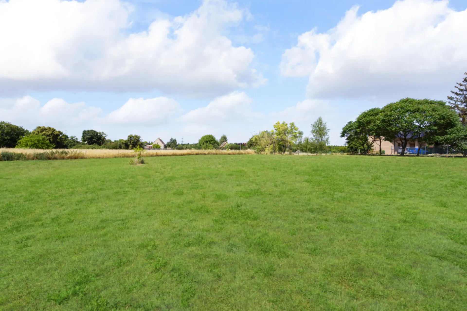 Große, grüne Wiese mit Bäumen und Häusern im Hintergrund unter blauem Himmel.