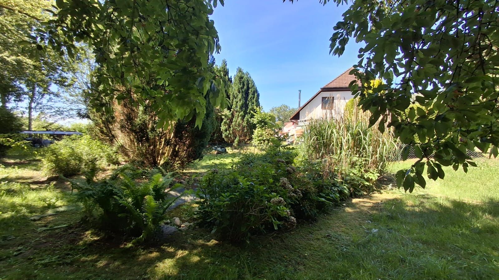 Garten mit Rasen, Büschen und Bäumen, im Hintergrund ein Haus mit Satteldach.