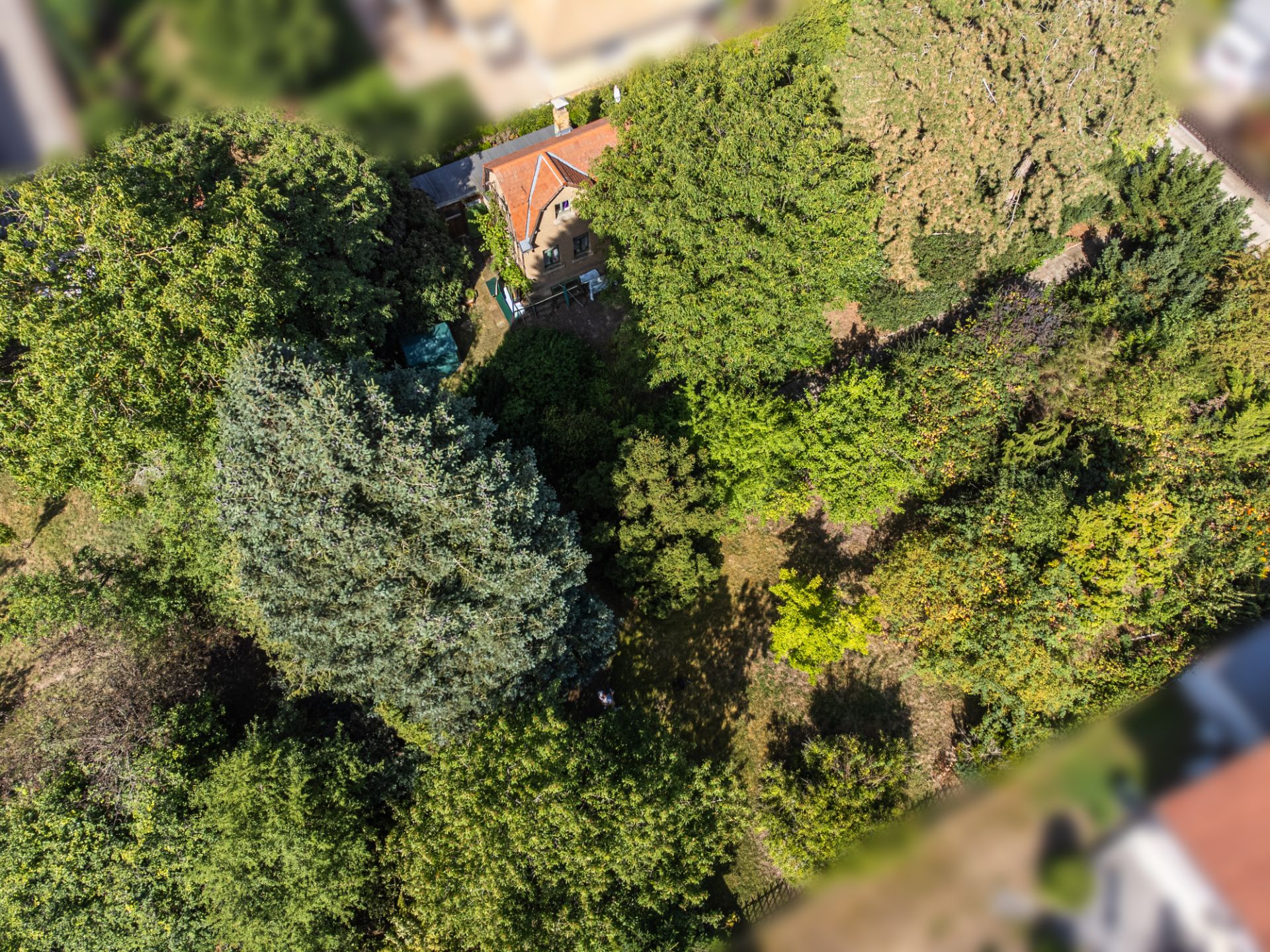 Luftaufnahme eines Hauses mit rotem Dach, umgeben von vielen grünen Bäumen und Garten.