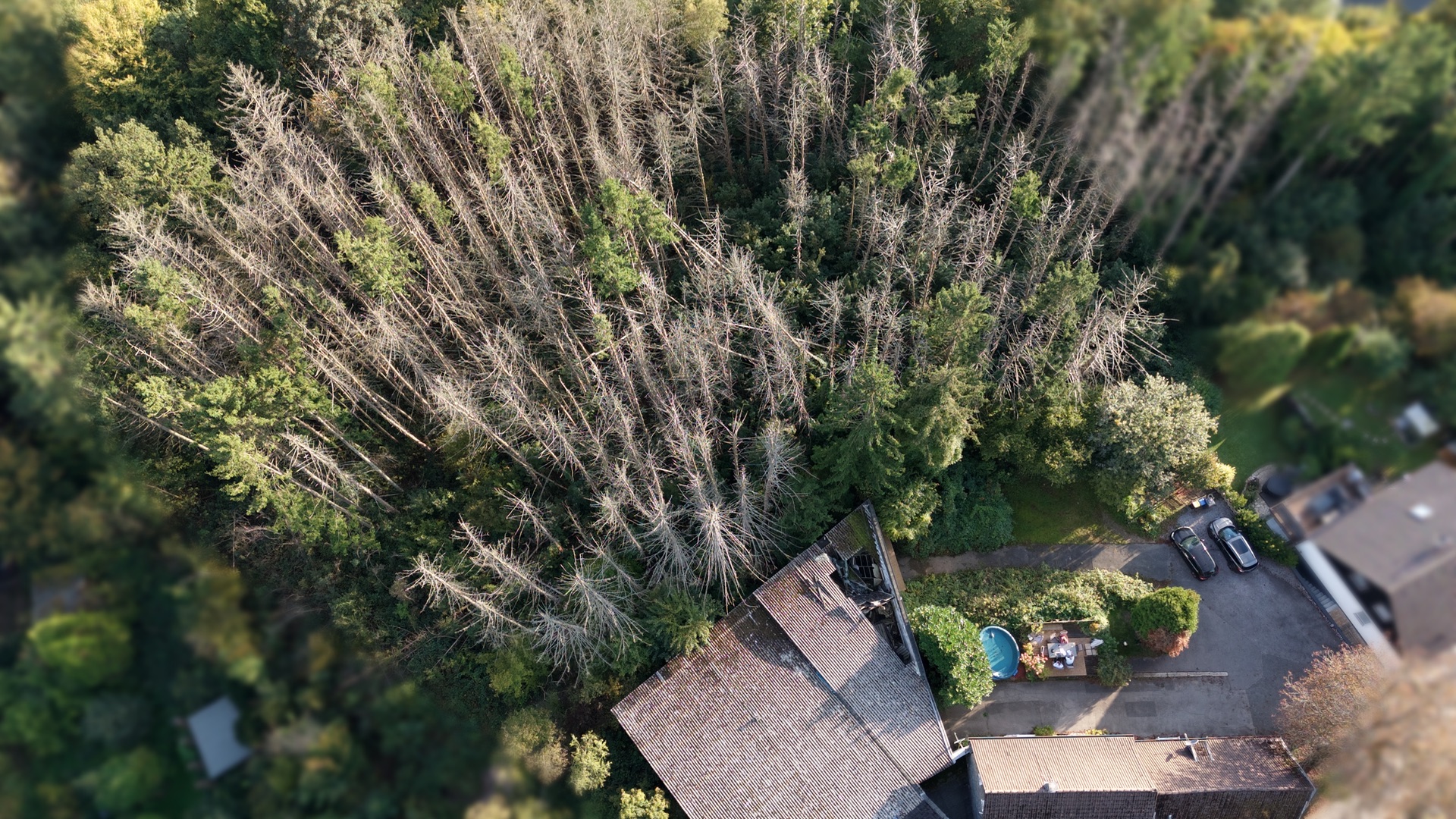 Luftaufnahme eines Hauses am Waldrand mit kahlen und grünen Bäumen, ein Garten und geparkte Autos sind sichtbar.