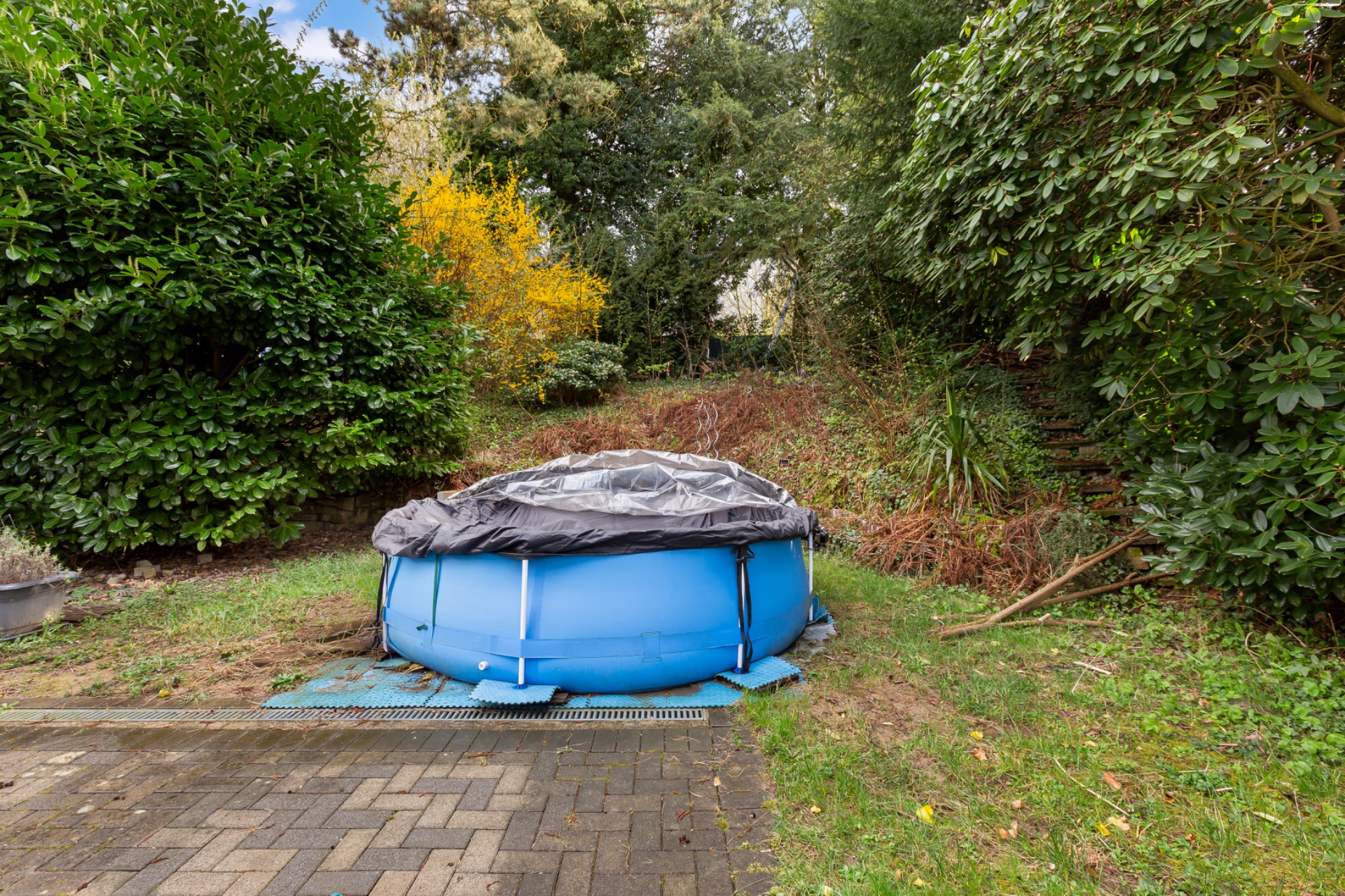 Ein kleiner, runder, blauer Aufstellpool steht im Garten, mit einer Abdeckung darauf.