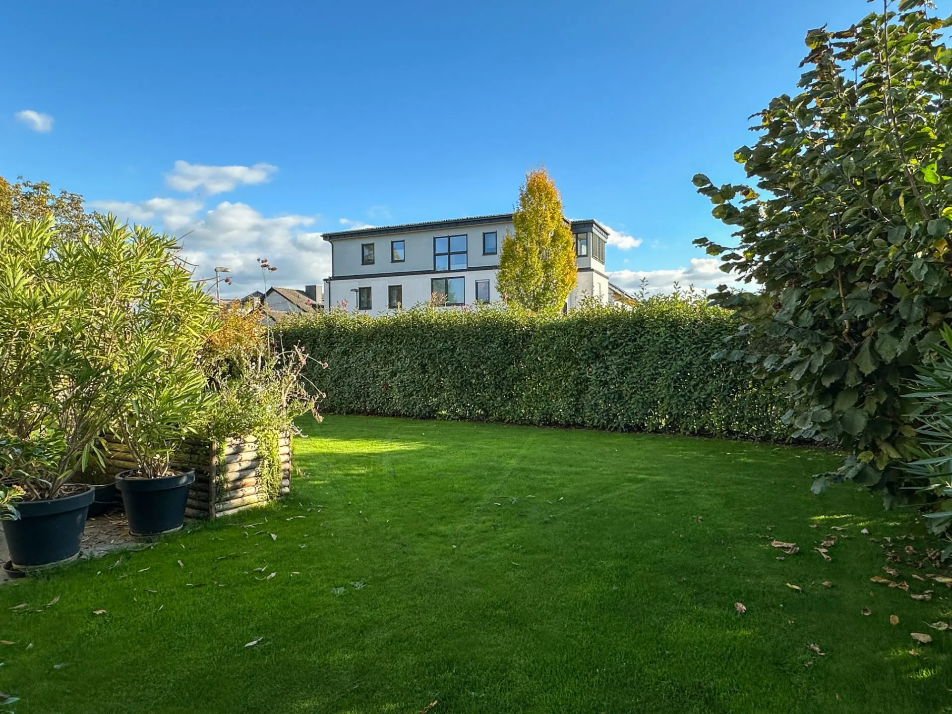 Grüner Garten mit Rasen, Sträuchern und Blick auf ein modernes Wohnhaus im Hintergrund.