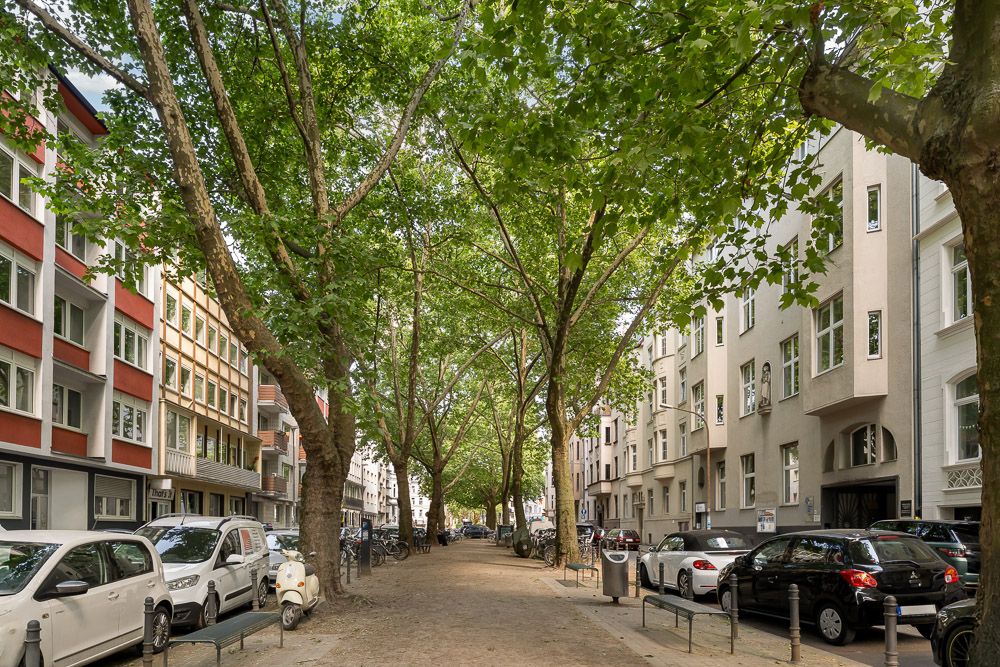 Baumbestandene Straße mit parkenden Autos und Wohngebäuden auf beiden Seiten.