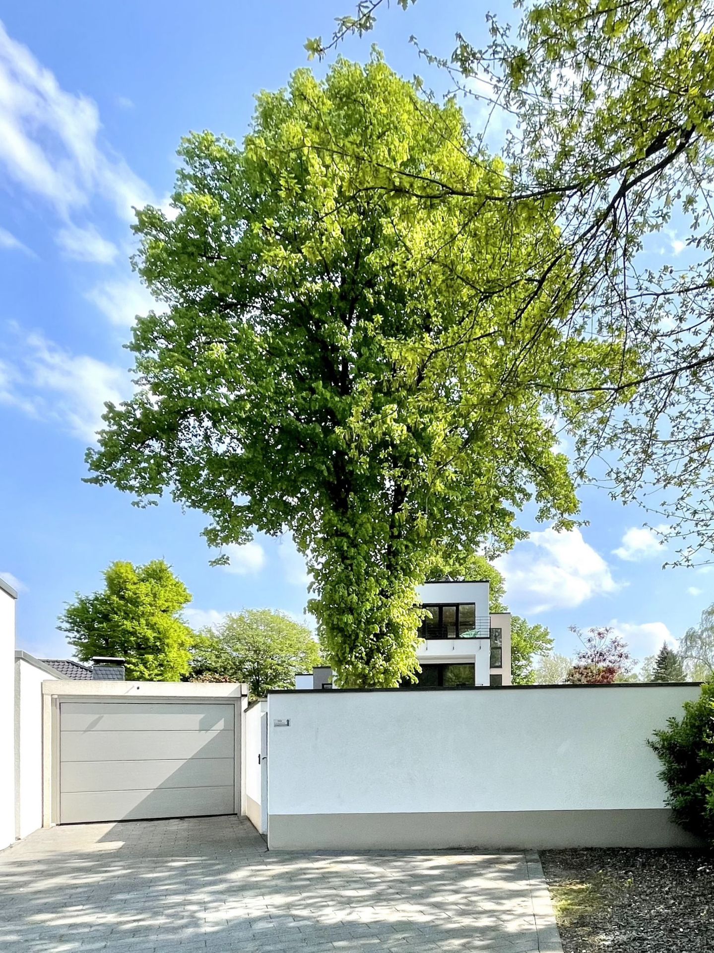 Moderne Wohnhausfassade hinter einer weißen Mauer mit großem grünem Baum im Vordergrund.
