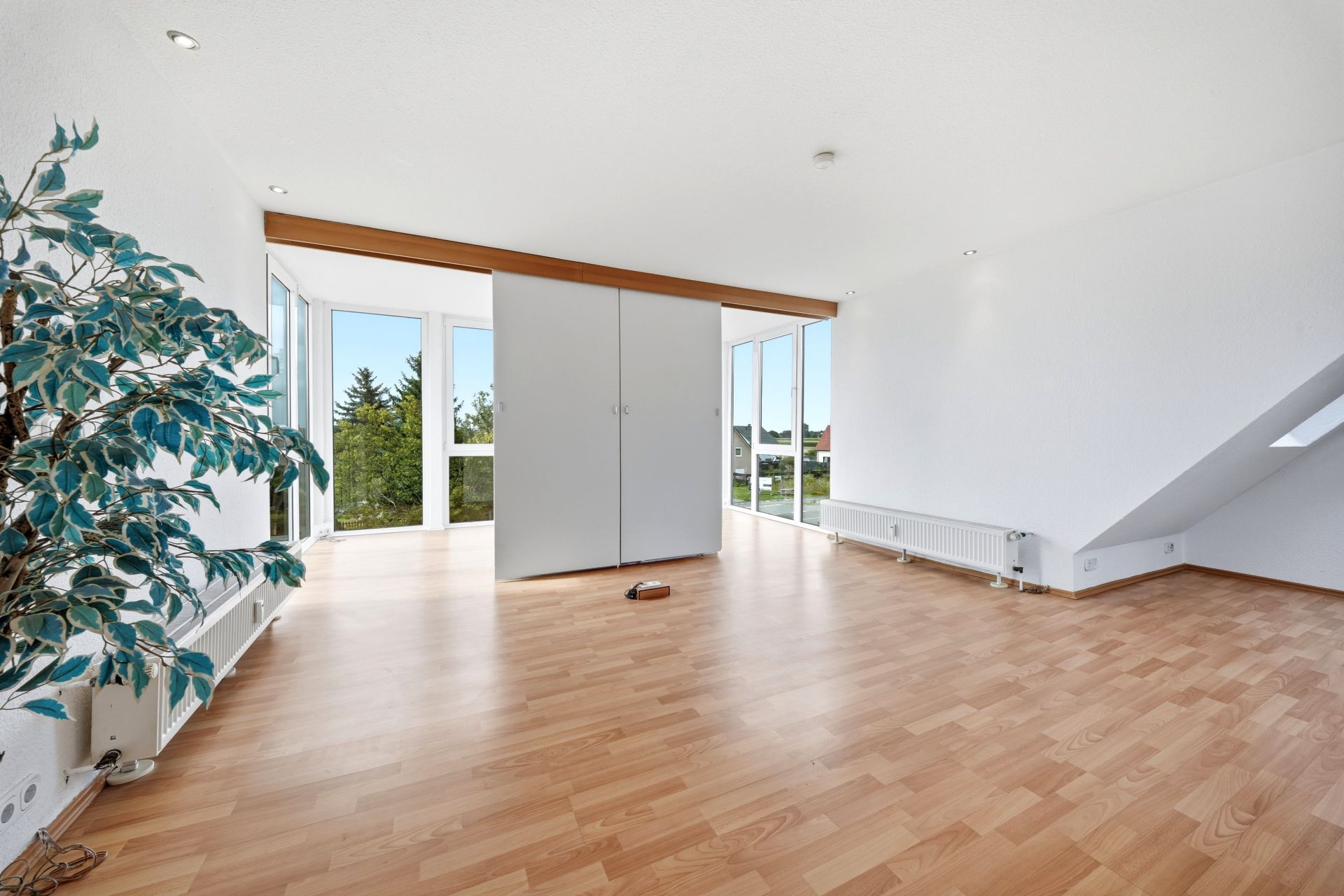 Helles Wohnzimmer mit Parkettboden, großen Fenstern und einer Pflanze in der Ecke.