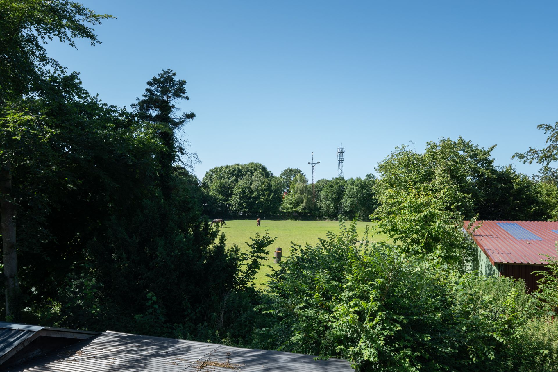 Blick auf eine große Wiese, umgeben von Bäumen, mit einem rot gedeckten Schuppen rechts.