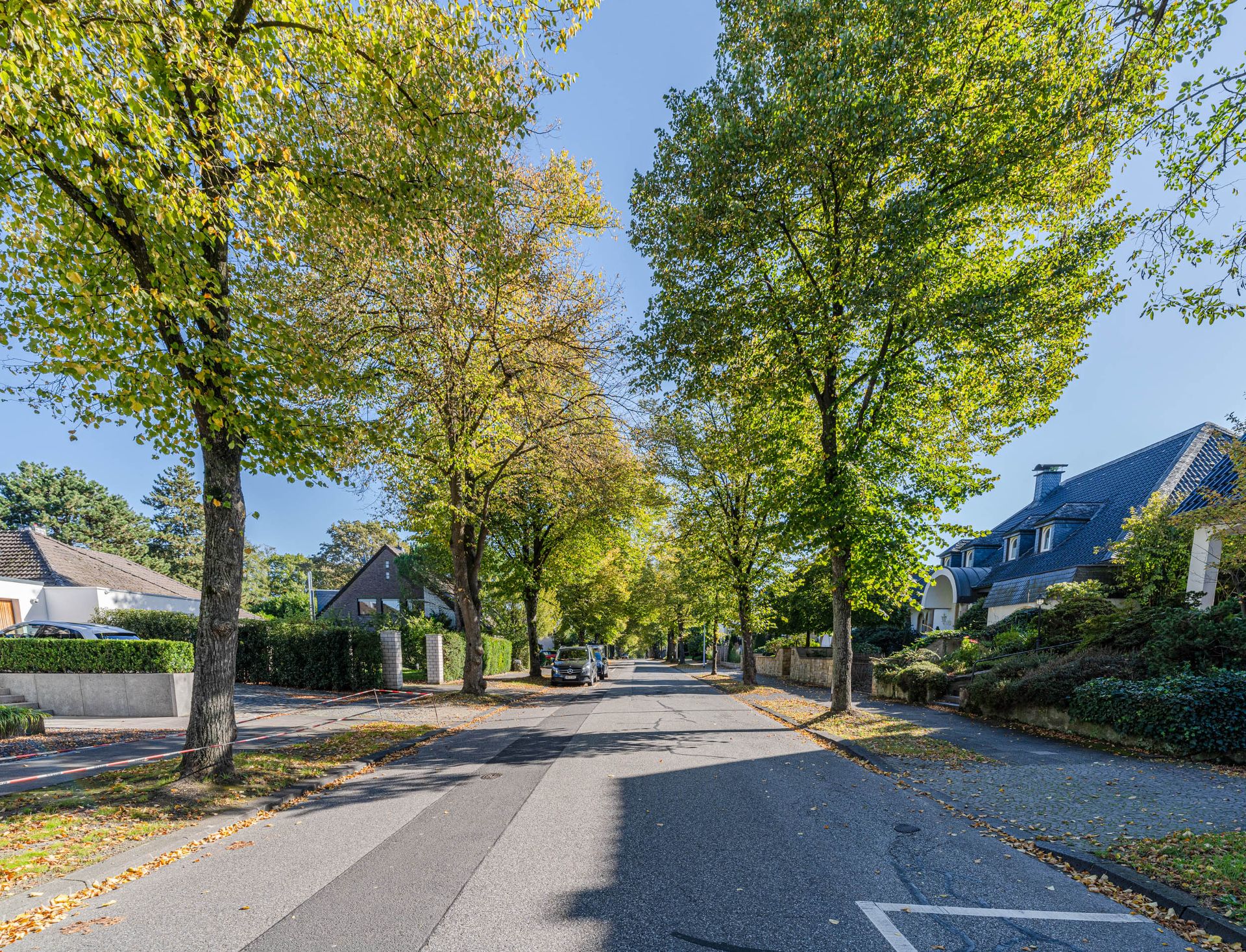 Baumbestandene Wohnstraße mit einzelnen Häusern und geparkten Autos bei sonnigem Wetter.