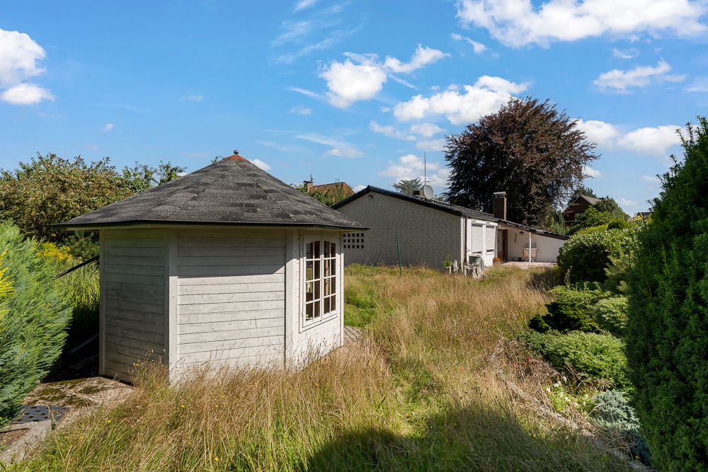 Garten mit kleinem Holzhaus, hohem Gras und Büschen bei sonnigem Wetter.