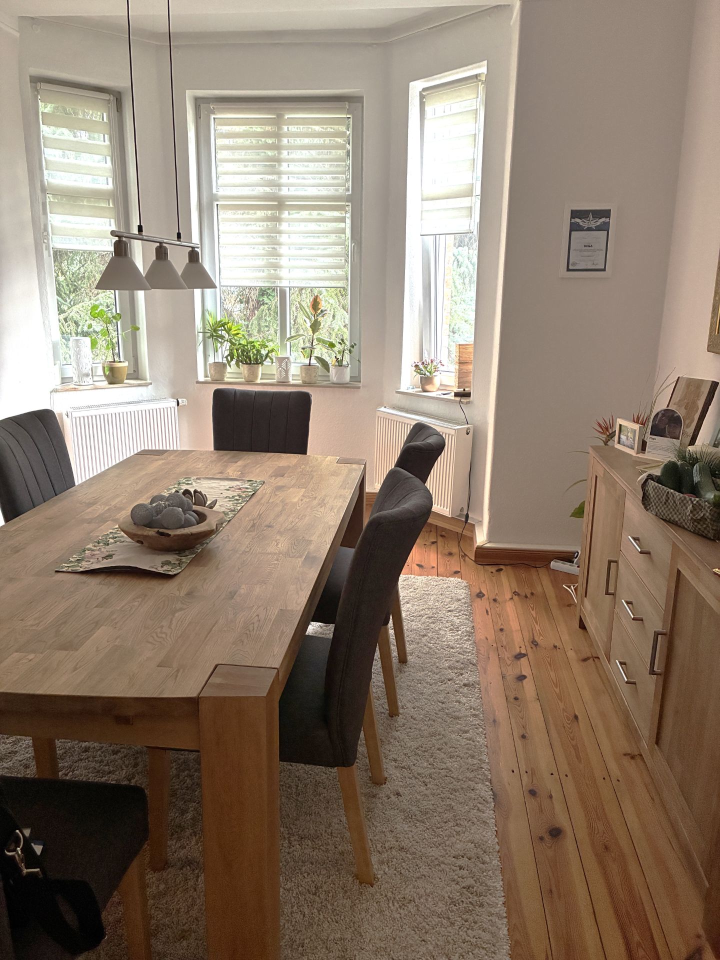 Esszimmer mit Holztisch, vier Stühlen, Teppich, Sideboard und Fenstern mit Pflanzen.