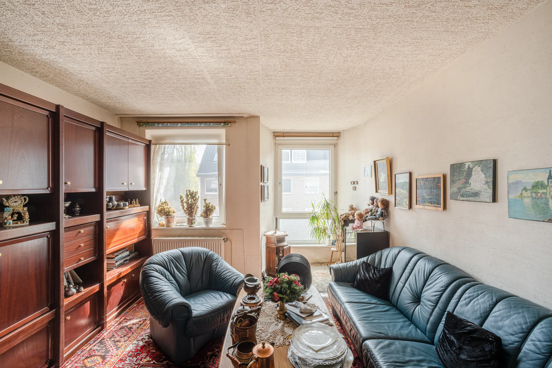 Wohnzimmer mit Ledersofa, Sessel, Couchtisch, Holzregalen und Pflanzen am Fenster.