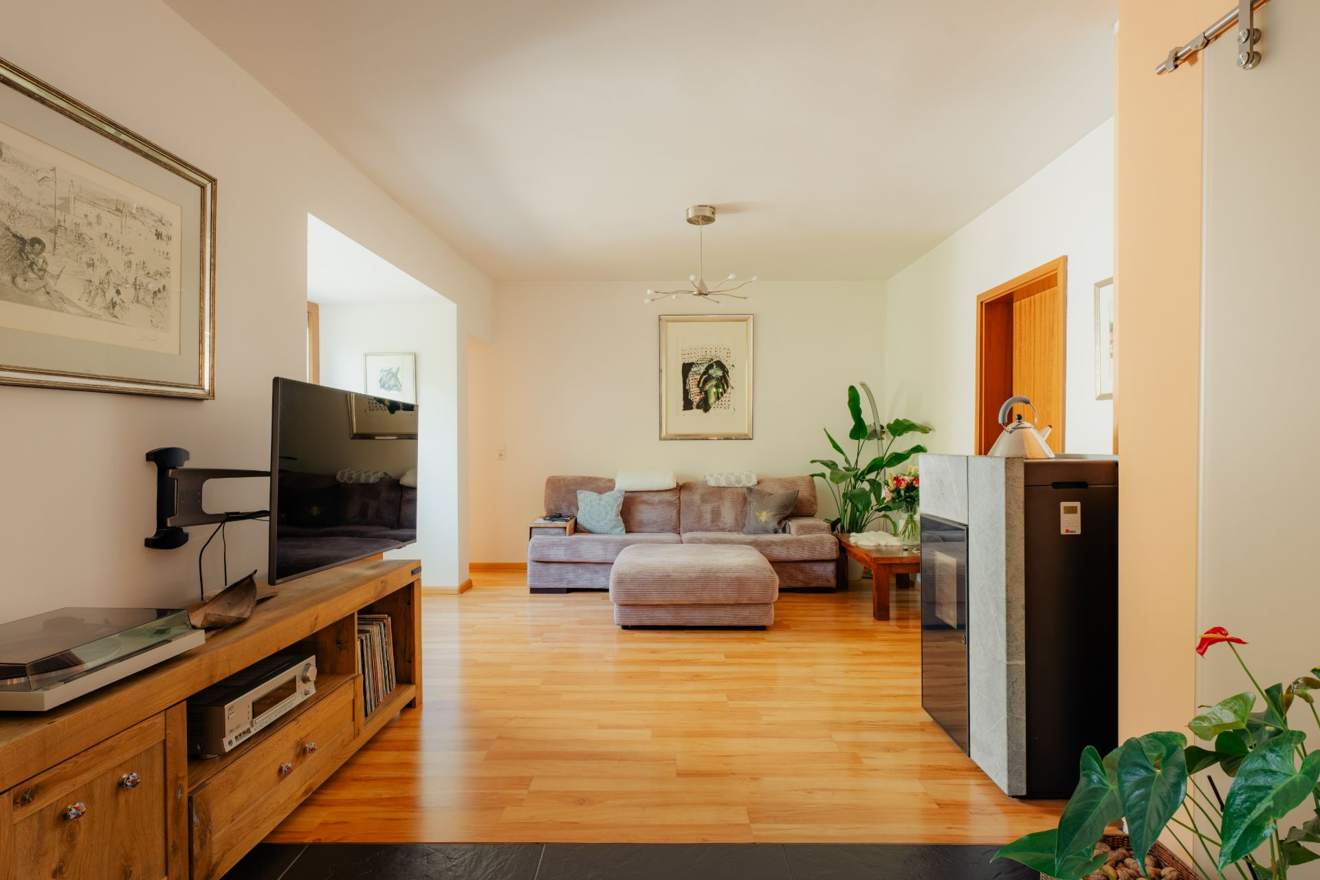 Helles Wohnzimmer mit Holzfußboden, Sofa, Fernseher, Kamin und Zimmerpflanzen.