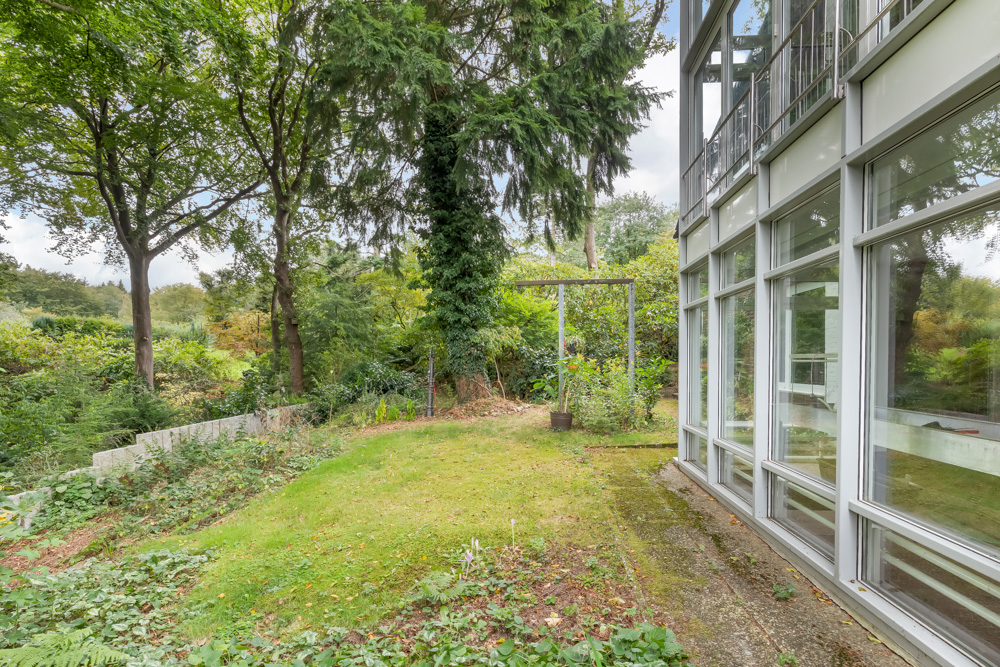 Garten mit Rasenfläche, Bäumen und großen Fenstern eines Wohnhauses.