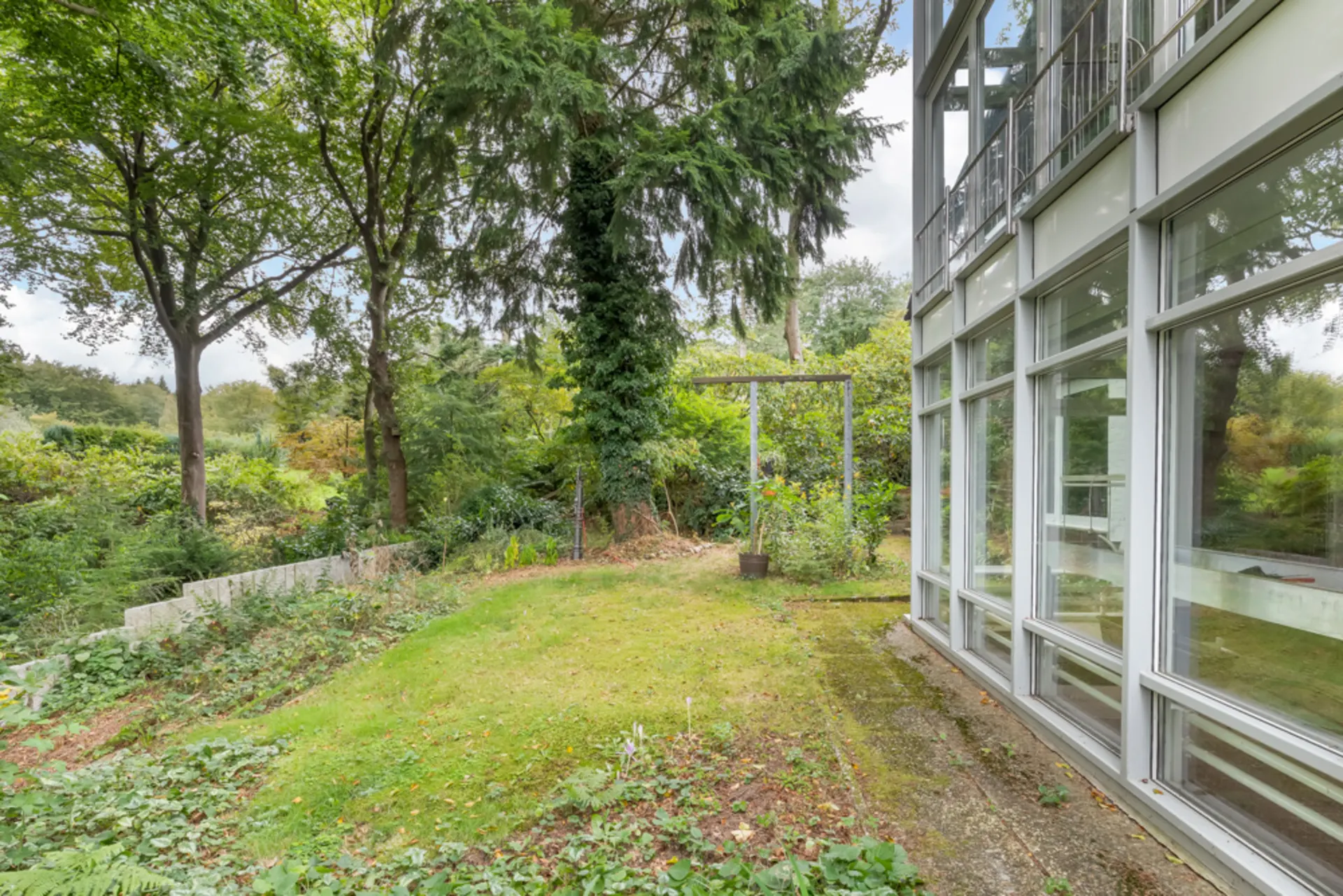Garten mit Rasenfläche, Bäumen und großen Fenstern eines Wohnhauses.