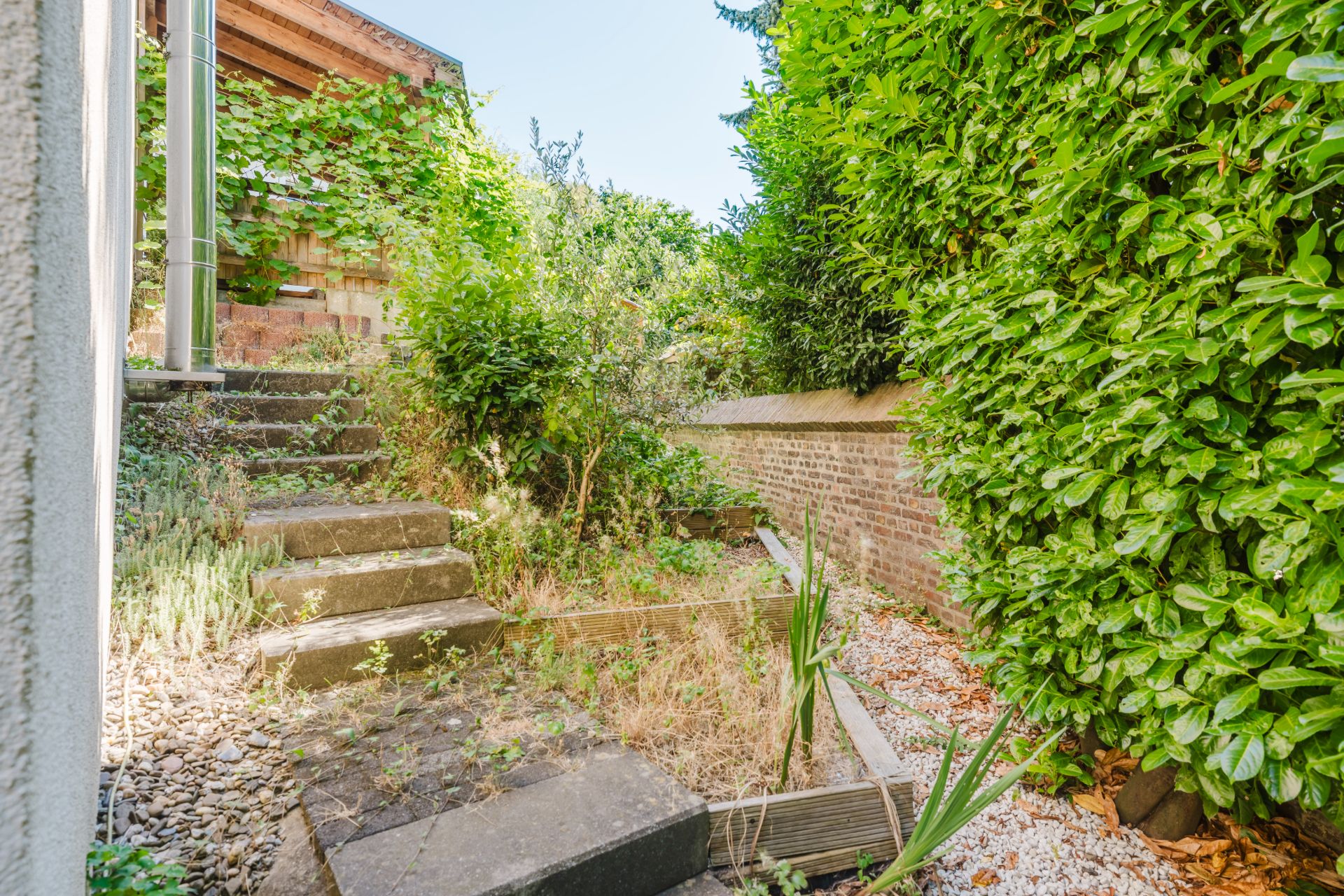 Kleiner Garten mit Treppe, Pflanzen, Sträuchern und Hecke an einer Steinmauer.