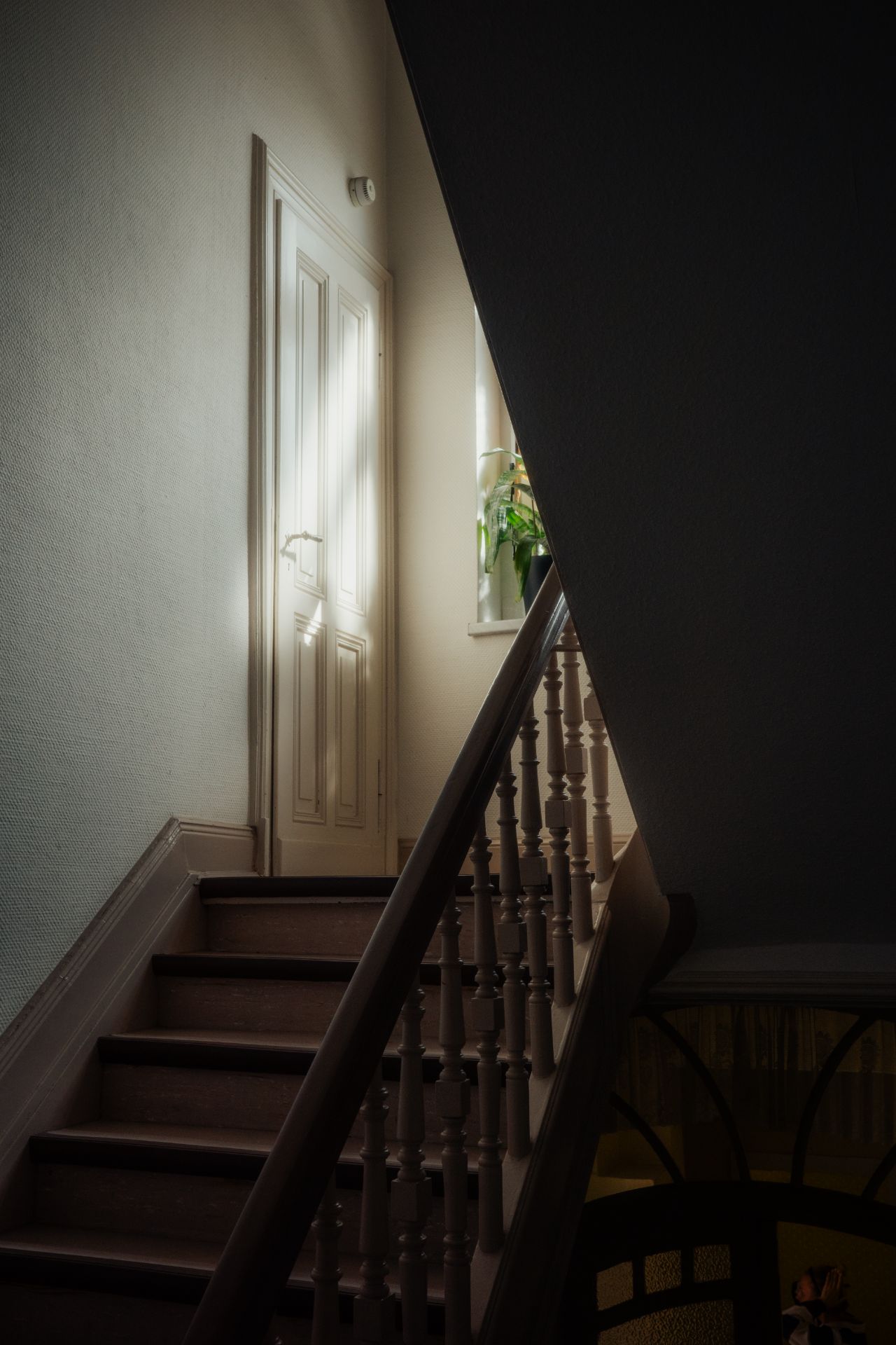 Holztreppe mit Geländer, oben eine weiße Tür und ein Fenster mit einer Pflanze.