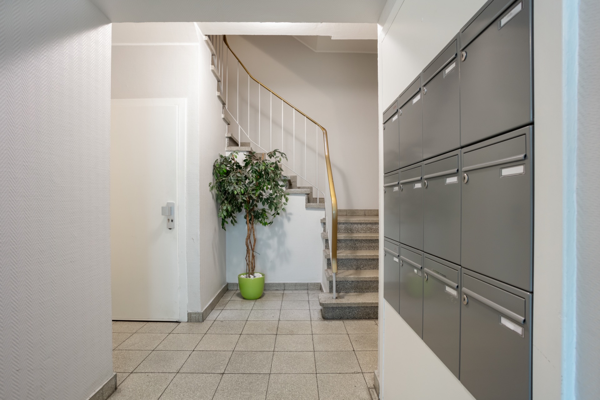 Eingangsbereich mit Briefkästen, Treppe und einer Pflanze im Topf.