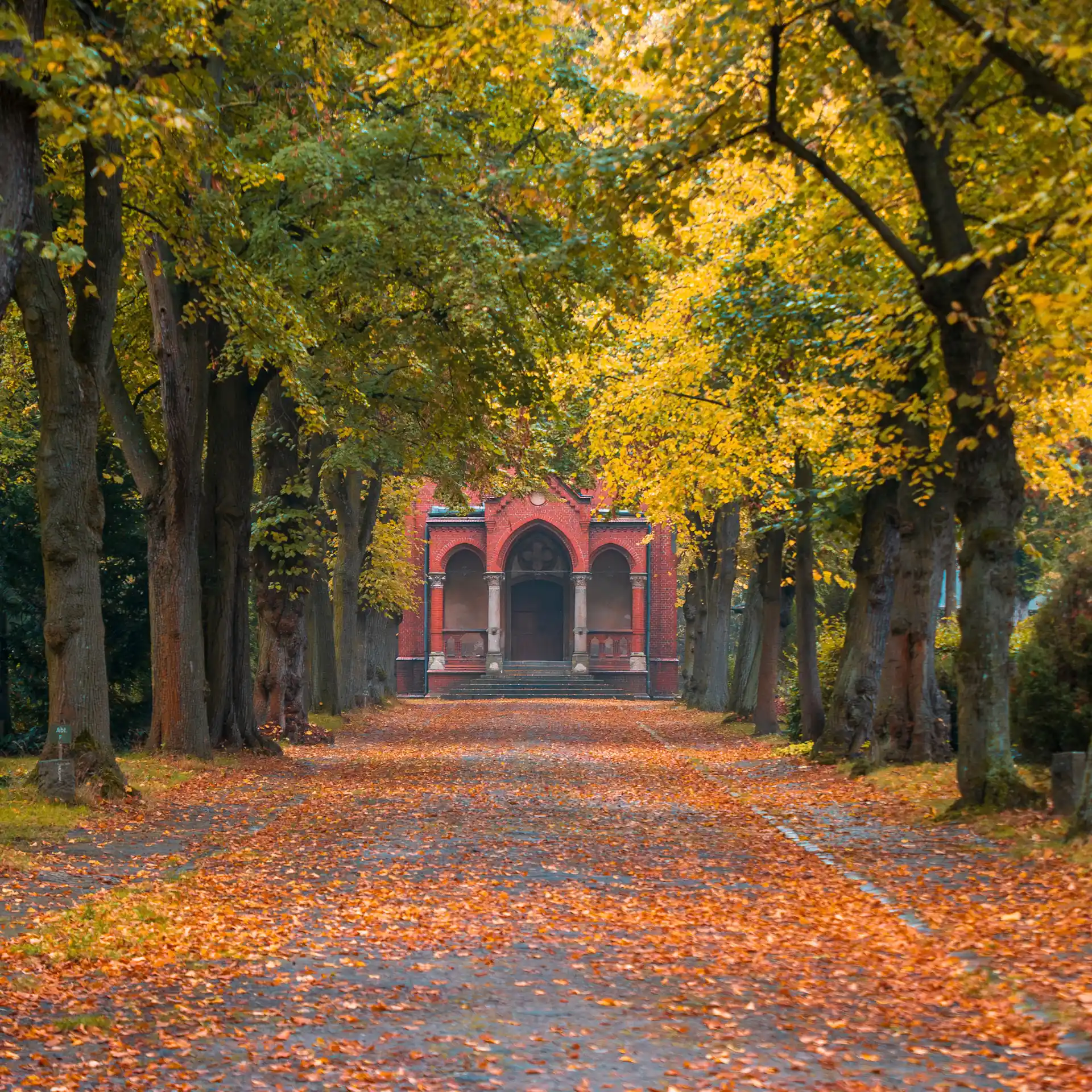 Großer grüner Park mit Bäumen und einem steinernen Torbogen im Hintergrund.