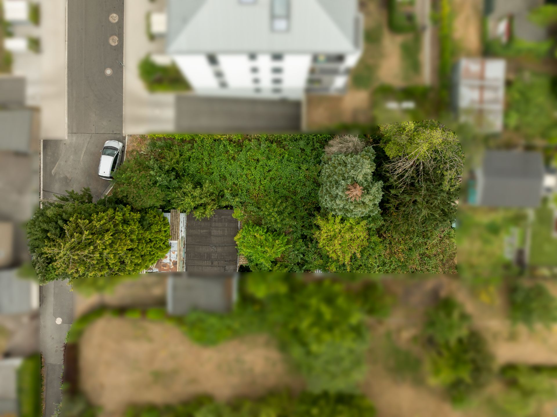 Luftaufnahme eines rechteckigen Gartengrundstücks mit dichtem Bewuchs und angrenzender Straße.
