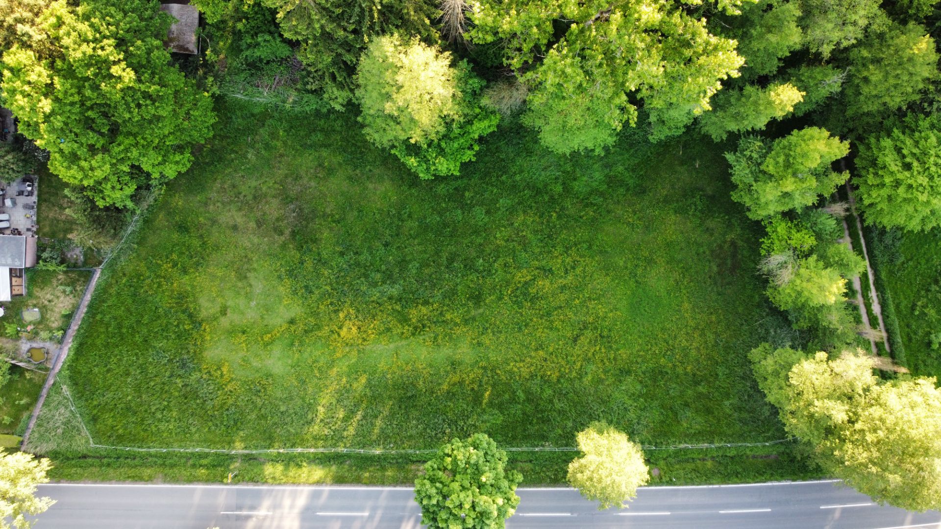 Luftaufnahme einer rechteckigen Wiese, umgeben von Bäumen, mit Straße am unteren Bildrand.