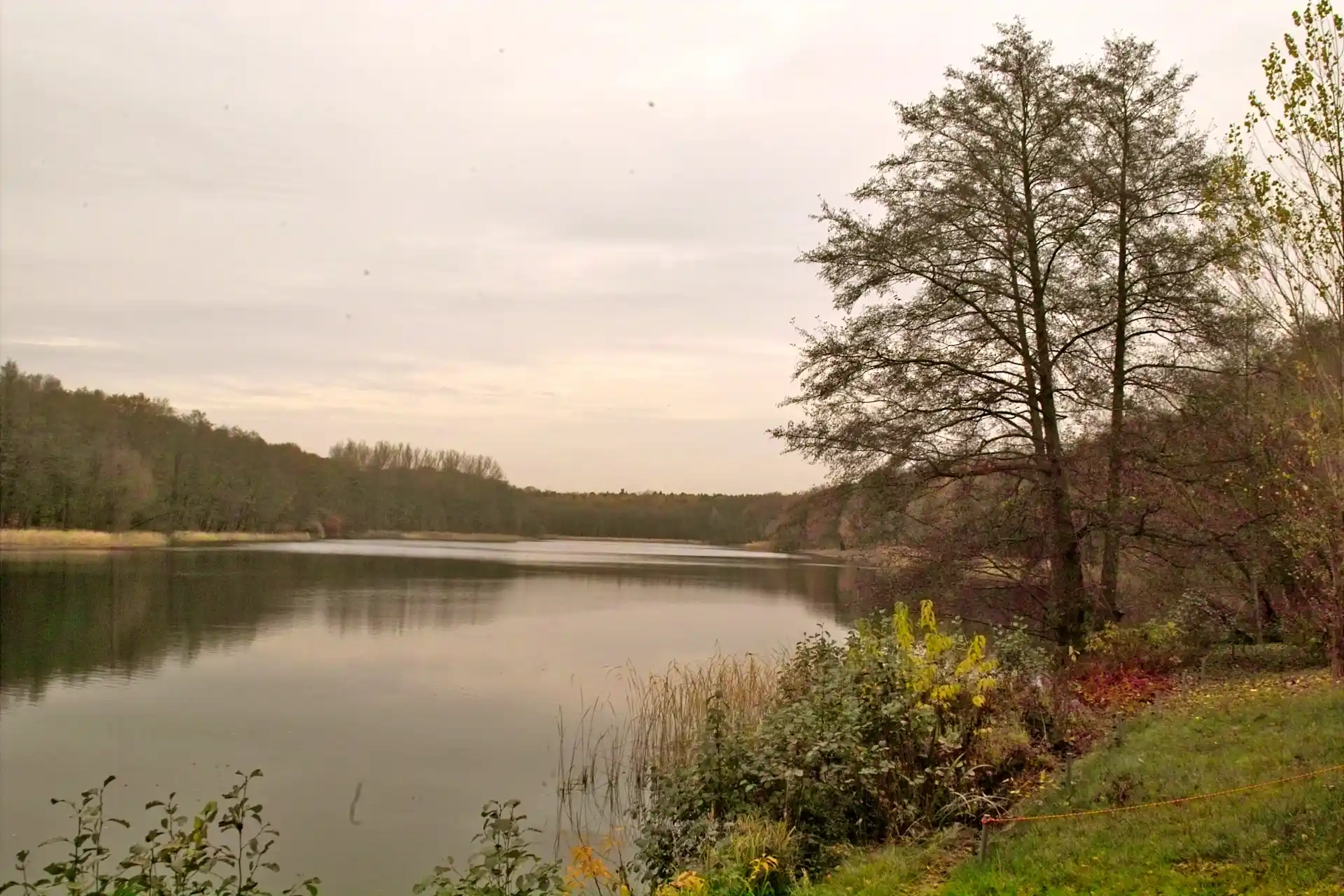 See mit Bäumen am Ufer und bewölktem Himmel im Hintergrund.