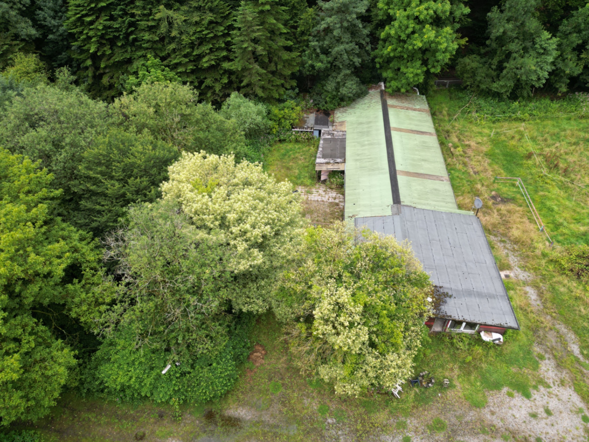 Langes Haus mit Flachdach, umgeben von vielen Bäumen und Wiese, aus der Luft aufgenommen.