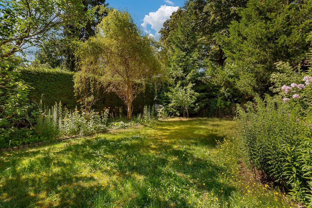 Grüner Garten mit Bäumen, Blumenbeeten und Rasenfläche an einem sonnigen Tag.