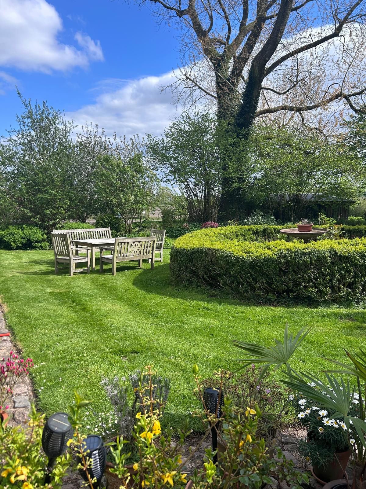 Grüner Garten mit Holztisch und Stühlen, umgeben von Büschen und Bäumen unter blauem Himmel.