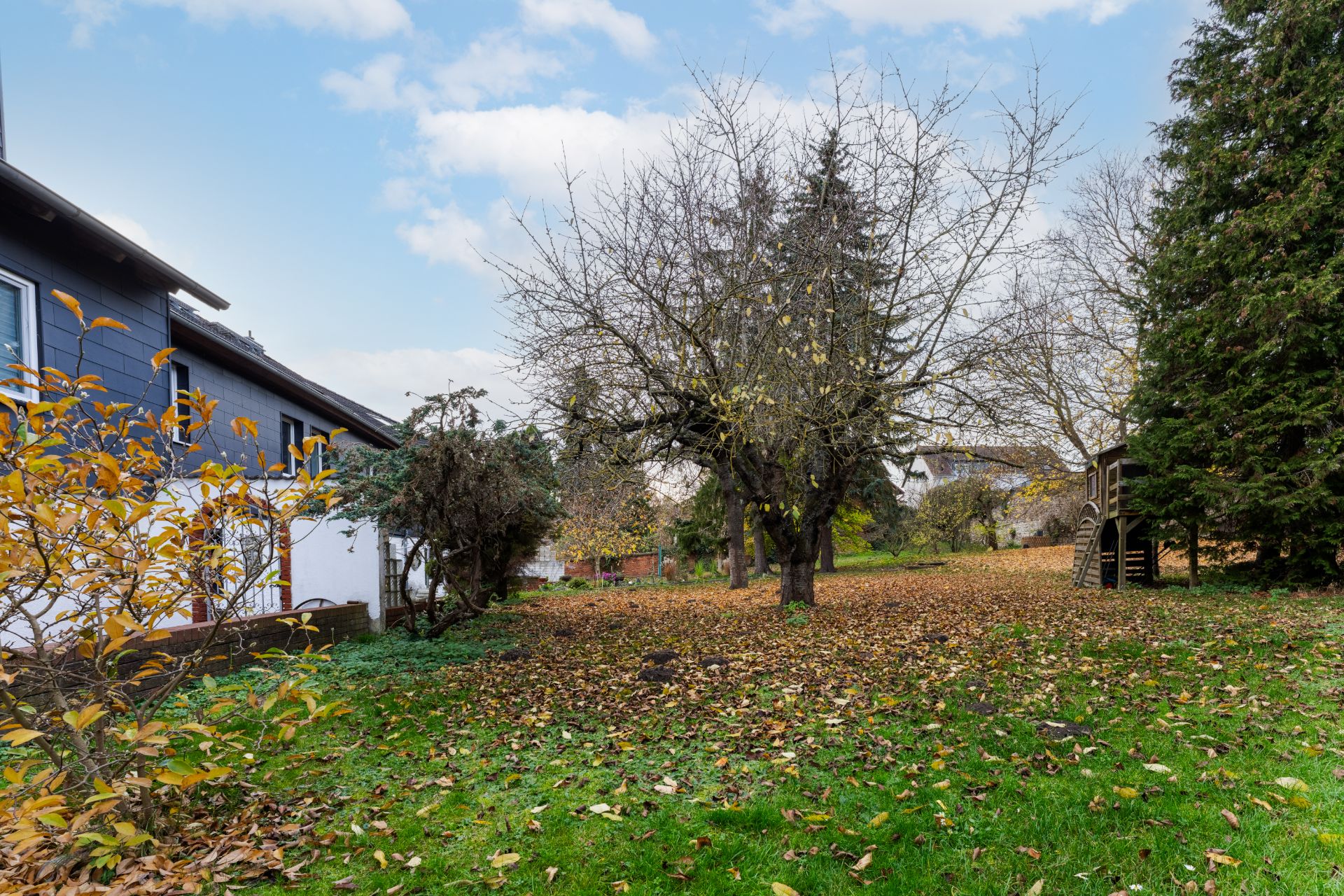 Garten mit herbstlichem Laub, Bäumen und einem Haus am linken Bildrand.