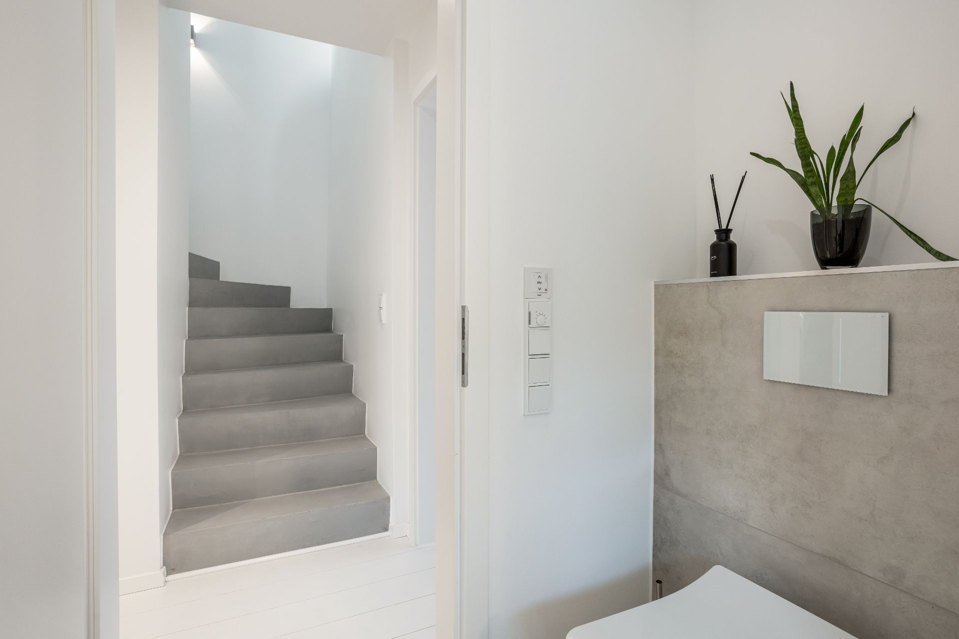 Helle Treppe mit grauen Stufen neben einem modernen Badezimmer mit Pflanze auf der Ablage.