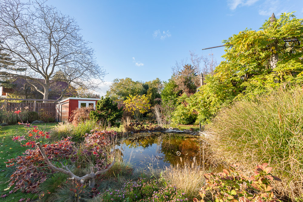 Garten mit Teich, bunten Pflanzen und kleinem roten Gartenhaus bei sonnigem Wetter.
